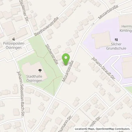 Standortübersicht der Tankstelle Energie- und Wasserversorgung Bruchsal GmbH in 76684 Östringen