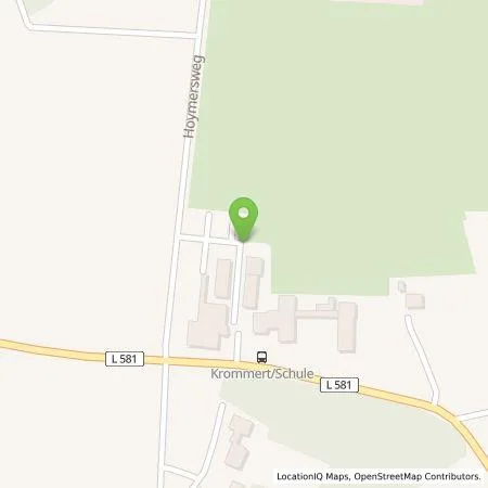Standortübersicht der Tankstelle Rhegio Natur GmbH in 46414 Rhede