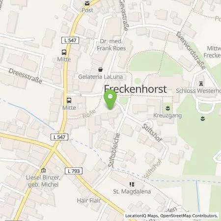 Standortübersicht der Tankstelle Stadtwerke Warendorf GmbH in 48231 Warendorf