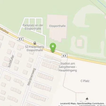 Standortübersicht der Tankstelle WEVG Salzgitter GmbH &Co. KG in 38228 Salzgitter