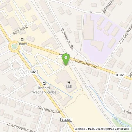 Standortübersicht der Tankstelle Lidl Dienstleistung GmbH & Co. KG in 65812 Bad Soden