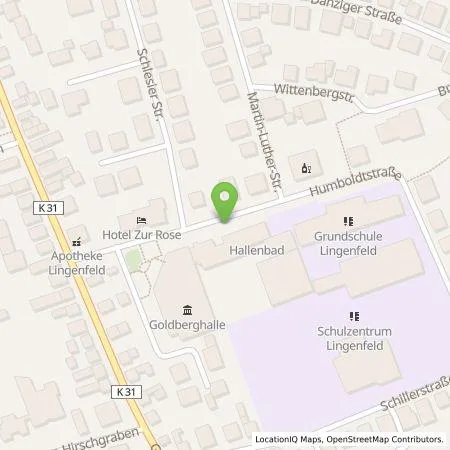 Standortübersicht der Tankstelle Pfalzwerke AG in 67360 Lingenfeld