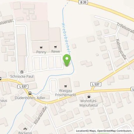 Standortübersicht der Tankstelle Pfalzwerke AG in 67373 Dudenhofen