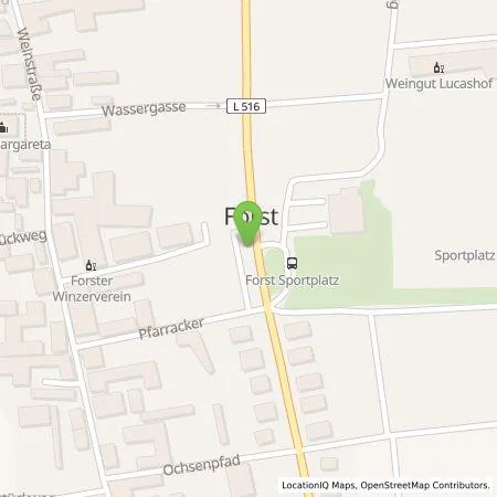 Standortübersicht der Tankstelle Pfalzwerke AG in 67152 Forst an der Weinstraße