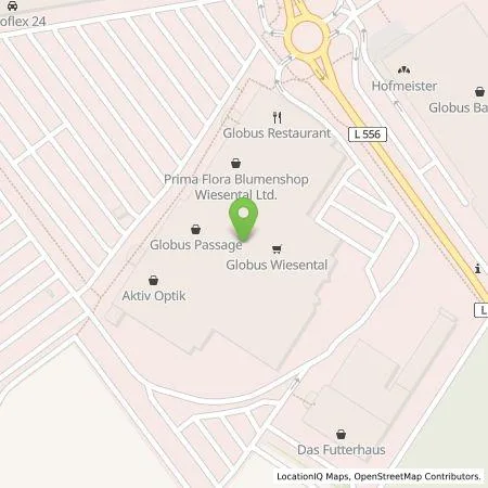 Standortübersicht der Tankstelle Pfalzwerke AG in 68753 Waghäusel