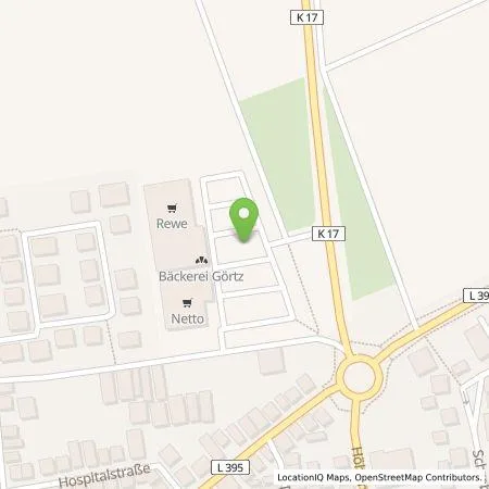 Standortübersicht der Tankstelle Pfalzwerke AG in 67551 Worms-Horchheim