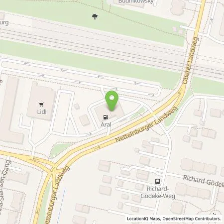 Standortübersicht der Tankstelle BP Europa SE in 21035 Hamburg