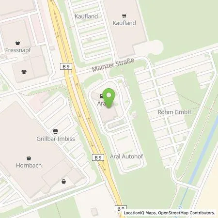 Standortübersicht der Tankstelle BP Europa SE in 67547 Worms