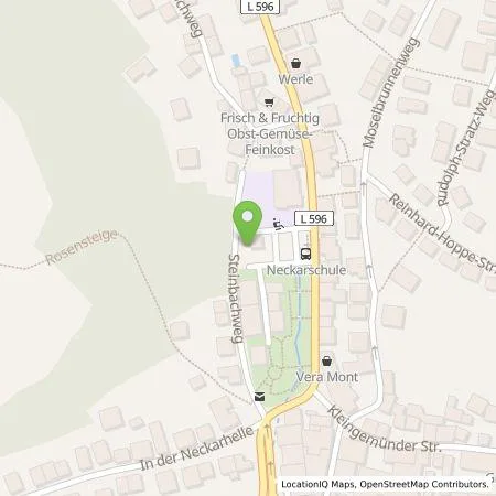 Standortübersicht der Tankstelle Stadtwerke Heidelberg Energie GmbH in 69118 Heidelberg