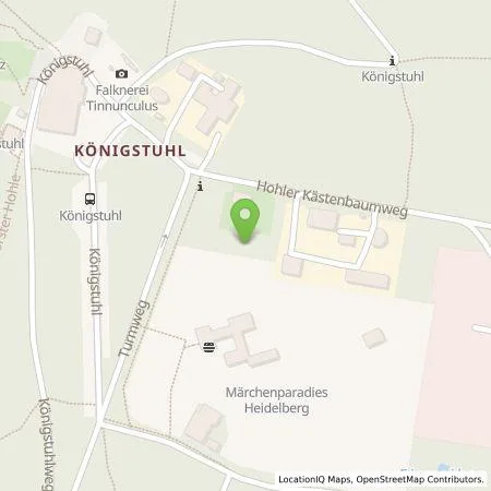 Standortübersicht der Tankstelle Stadtwerke Heidelberg Energie GmbH in 69117 Heidelberg