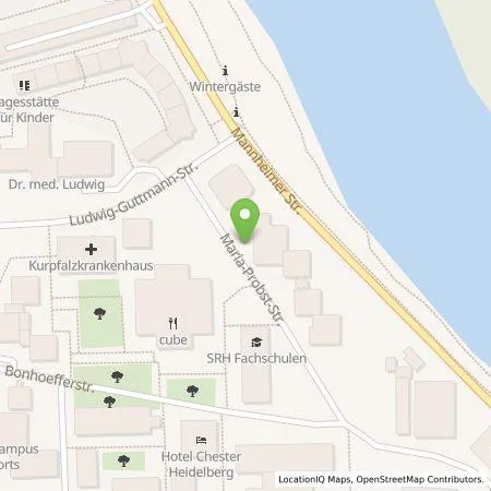 Standortübersicht der Tankstelle Stadtwerke Heidelberg Energie GmbH in 06912 Heidelberg