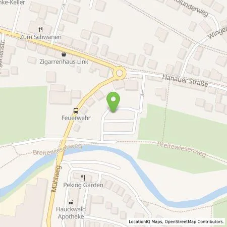 Standortübersicht der Tankstelle Energieversorgung Alzenau GmbH in 63755 Alzenau