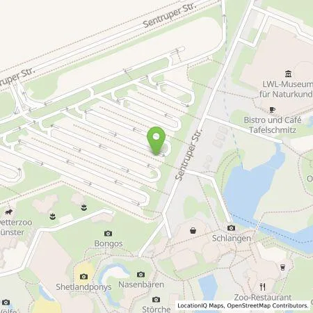 Standortübersicht der Tankstelle Pluq Assets BV in 48161 Münster