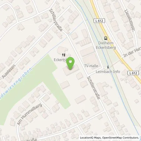 Standortübersicht der Tankstelle Pflege-Team Fleischer GmbH in 69234 Dielheim