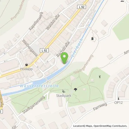 Standortübersicht der Tankstelle Elektro Birk in 77728 Oppenau