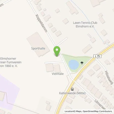 Standortübersicht der Tankstelle Stadtwerke Elmshorn in 25335 Elmshorn