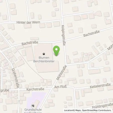 Standortübersicht der Tankstelle Blumen Berchtenbreiter Einzelunternehmen in 63762 Großostheim