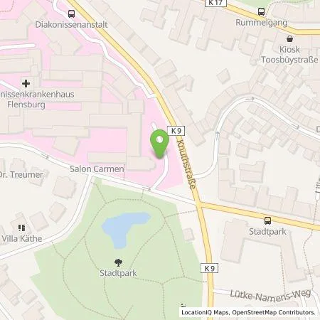 Standortübersicht der Tankstelle EV.-Luth. Diakonissenanstalt in 24939 Flensburg