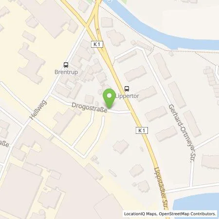 Standortübersicht der Tankstelle Walter Fritz deutsche Gesellschaft für Energieversorgung mbH in 33378 Rheda-Wiedenbrück