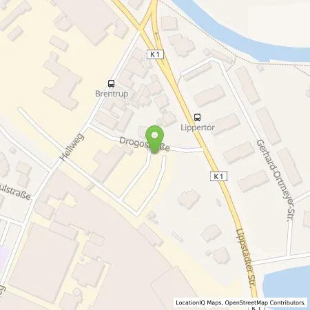 Standortübersicht der Tankstelle Walter Fritz deutsche Gesellschaft für Energieversorgung mbH in 33378 Rheda-Wiedenbrück