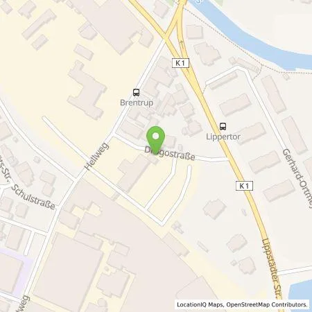 Standortübersicht der Tankstelle Walter Fritz deutsche Gesellschaft für Energieversorgung mbH in 33378 Rheda-Wiedenbrück