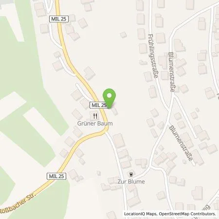 Standortübersicht der Tankstelle Landgasthof und Pension Grüner Baum in 63849 Leidersbach