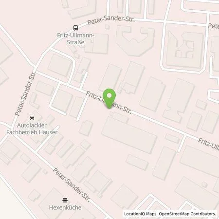 Standortübersicht der Tankstelle FES Frankfurter Entsorgungs- und Service GmbH in 55252 Wiesbaden