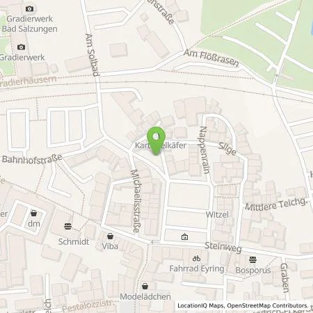 Standortübersicht der Tankstelle Mario Offhaus in 36433 Bad Salzungen