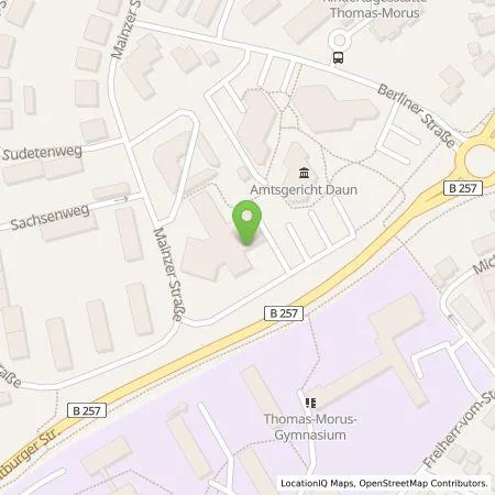 Standortübersicht der Tankstelle Hymes Energy GmbH in 54552 Daun