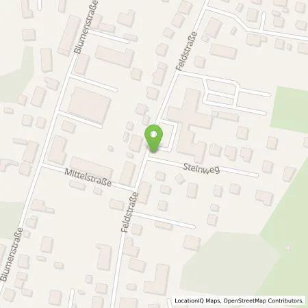 Standortübersicht der Tankstelle Autohaus Woldegk GmbH in 17309 Pasewalk