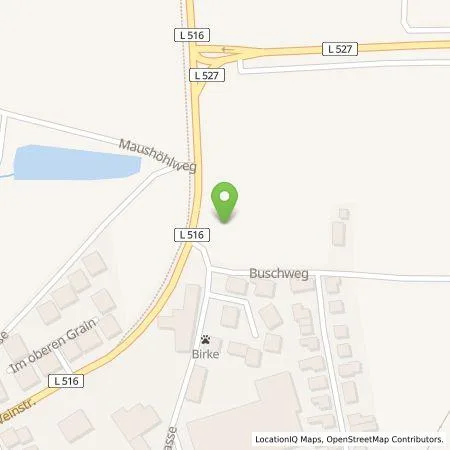 Standortübersicht der Tankstelle PfalzLader GmbH in 67146 Deidesheim