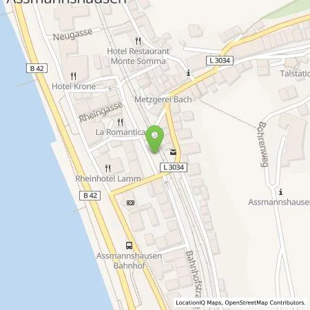 Standortübersicht der Tankstelle Erneuerbare Energien Rheingau-Taunus GmbH in 65385 Rüdesheim am Rhein