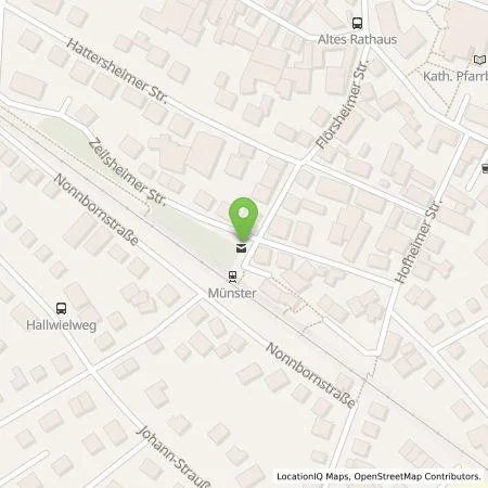 Standortübersicht der Tankstelle SolarInvest Main-Taunus eG in 65779 Kelkheim (Taunus)