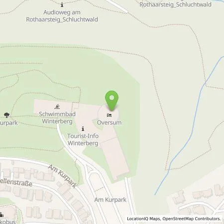 Standortübersicht der Tankstelle Wattif Europe GmbH in 59955 Winterberg