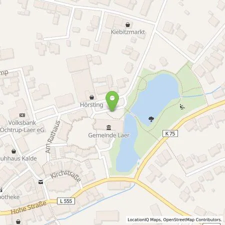 Standortübersicht der Tankstelle Westenergie Metering GmbH in 48366 Laer