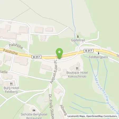 Standortübersicht der Tankstelle badenova AG & Co. KG in 79868 Feldberg (Schwarzwald)