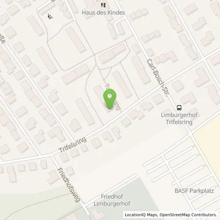 Standortübersicht der Tankstelle BES- Badische Energie-Servicegesellschaft mbH in 67117 Limburgerhof