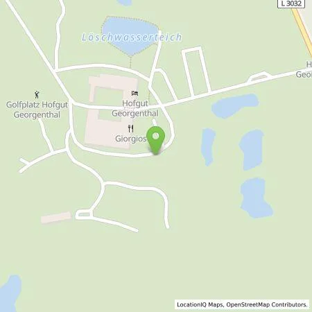 Standortübersicht der Tankstelle Hofgut Georgenthal GmbH & Co. KG in 65329 Hohenstein