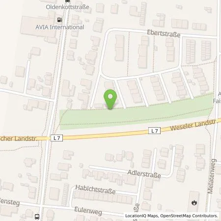 Standortübersicht der Tankstelle Andre Schlebusch in 46459 Rees