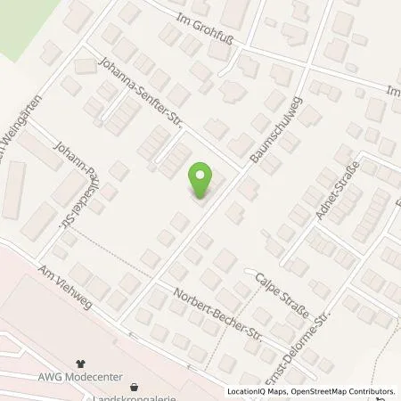 Standortübersicht der Tankstelle Bernard Benzner in 55276 Oppenheim