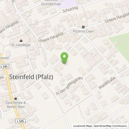 Standortübersicht der Tankstelle Birger Henry in 76889 Steinfeld