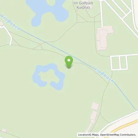 Standortübersicht der Tankstelle blue-oak GmbH in 67117 Limburgerhof