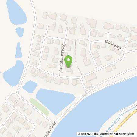 Standortübersicht der Tankstelle Boris Wilzin in 91578 Leutershausen