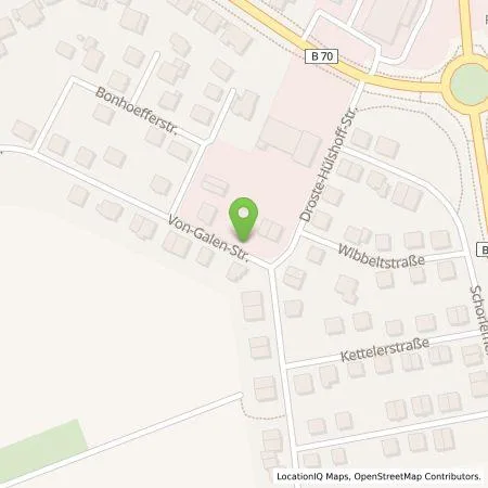 Standortübersicht der Tankstelle Dirk Dr. Hallner in 46348 Raesfeld