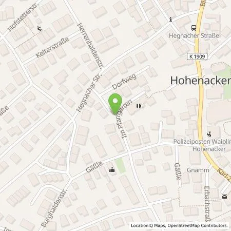 Standortübersicht der Tankstelle Doreen Richter in 71336 Waiblingen