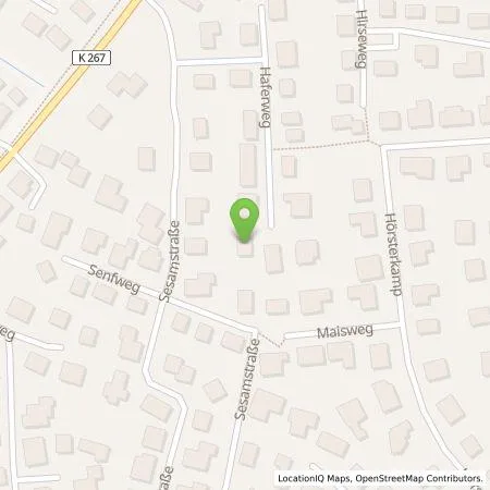 Standortübersicht der Tankstelle Gino Ritter in 49413 Dinklage