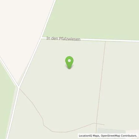 Standortübersicht der Tankstelle Ingo Schmelzer in 67134 Birkenheide