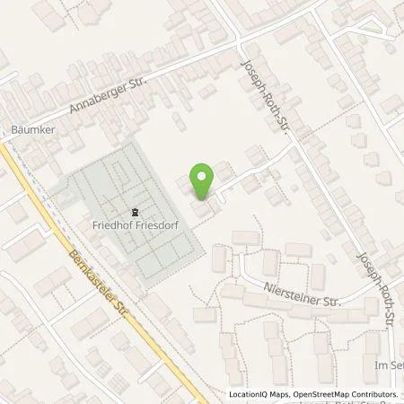 Standortübersicht der Tankstelle Johannes Nünning in 53175 Bonn