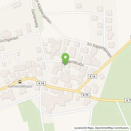 Standortübersicht der Tankstelle Jörg Bremser in 56357 Berg