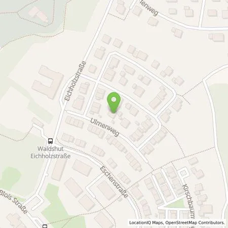 Standortübersicht der Tankstelle Jürgen Woenckhaus in 79761 Waldshut-Tiengen